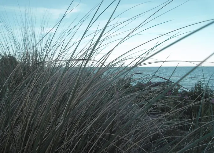 Luette Hoeoeg * Sierksdorf